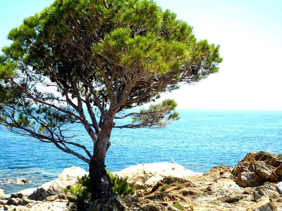 Caseta De Pescadors A Les Cales De Colera, 2ª Linea De Mar Kültér fotó